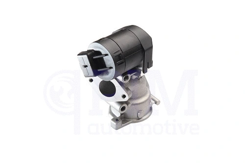 EGR Valve (40740011)