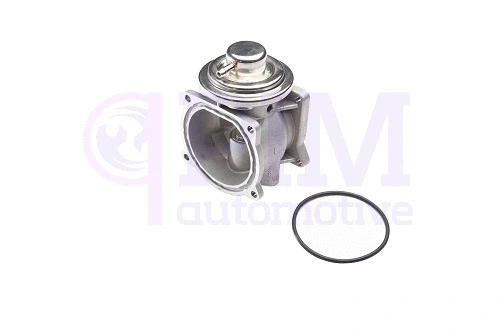 EGR Valve (40850215)
