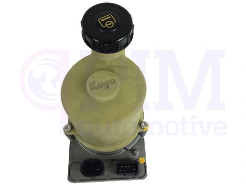Hydraulic Pump, steering (36705000)