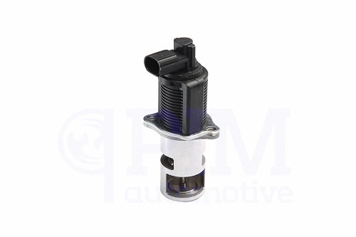 EGR Valve (40770020)