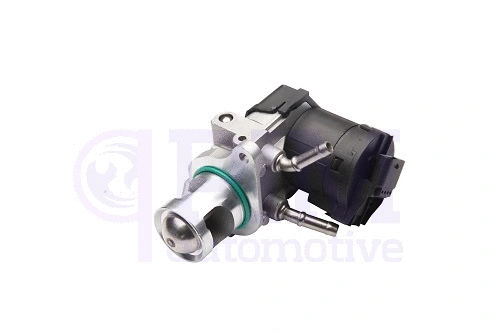 EGR Valve (40730131)