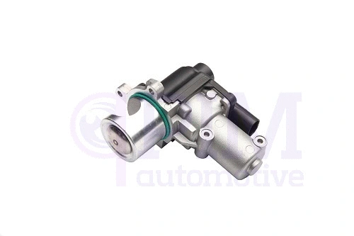 EGR Valve (40710100)