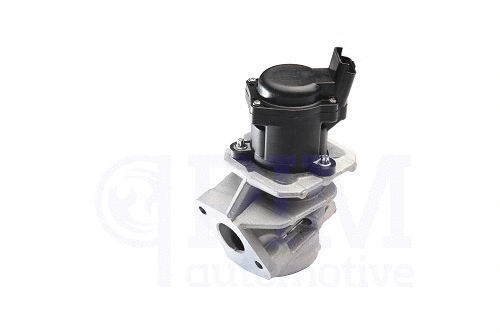 EGR Valve (40740004)