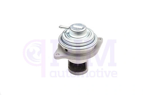 EGR Valve (40891100)