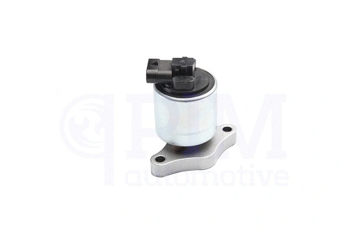 EGR Valve (40790009)