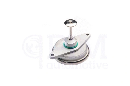 EGR Valve (40790008)