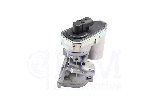 EGR Valve (40740010)