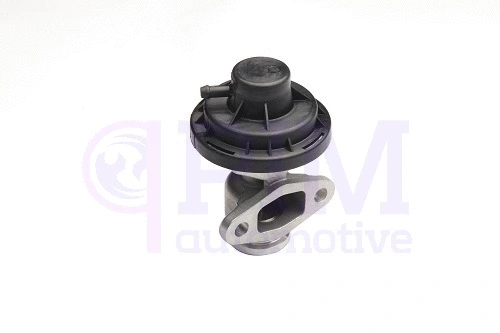 EGR Valve (40855065)