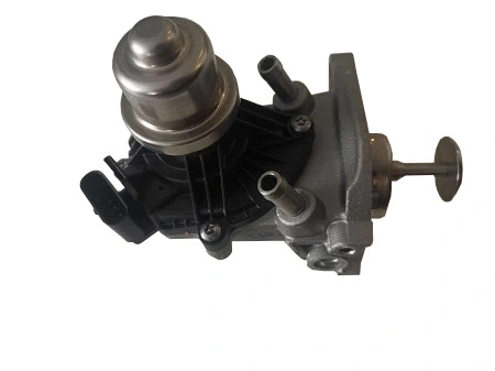EGR Valve (40730020)