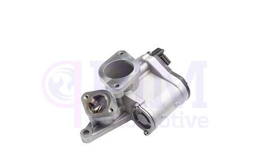 EGR Valve (40820140)