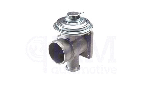 EGR Valve (40730207)