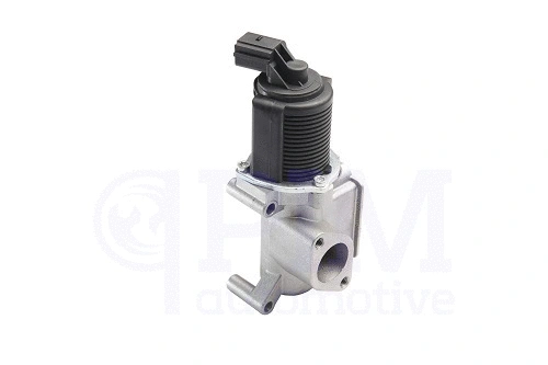 EGR Valve (40754145)