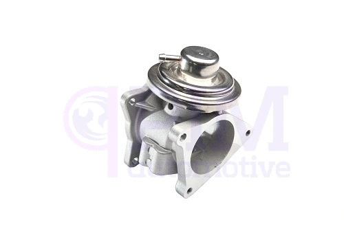 EGR Valve (40710024)