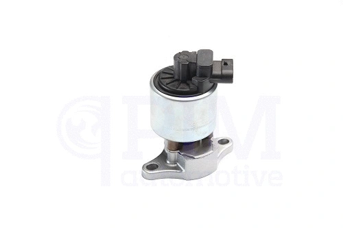 EGR Valve (40790060)