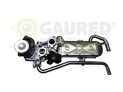 EGR Valve (40715125)