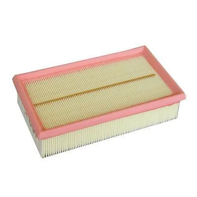 Air Filter (FA-2081)