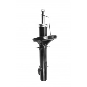 Shock Absorber (FSA319)