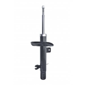 Shock Absorber (FSA746)