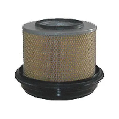 Air Filter (FC-422)