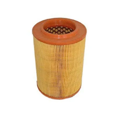 Air Filter (FA-1259)