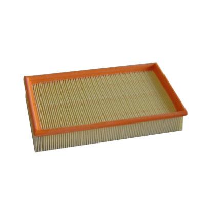 Air Filter (FA-8794)