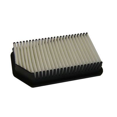 Air Filter (FA-390)