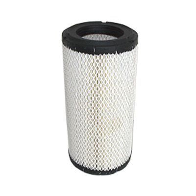 Air Filter (FC-495)