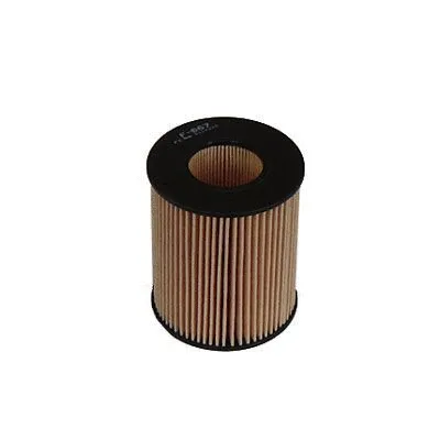 Oil Filter (F-667)