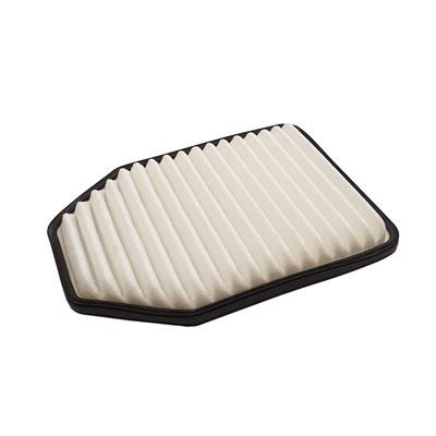 Air Filter (FA-8846)