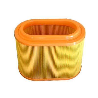 Air Filter (FA-397)