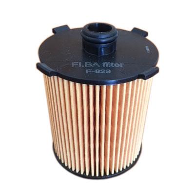 Oil Filter (F-829)