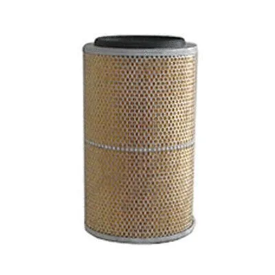Air Filter (FC-425)