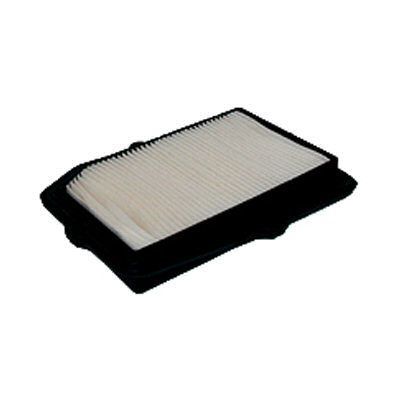 Air Filter (FA-353)