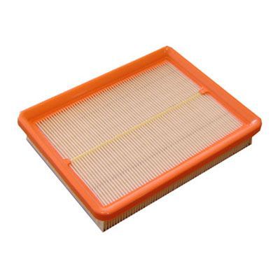 Air Filter (FA-389)