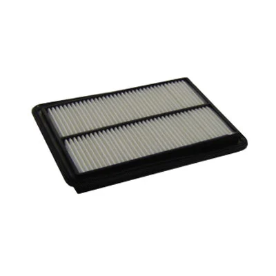 Air Filter (FA-494)