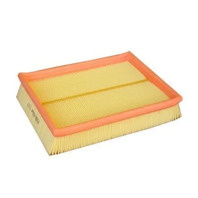 Air Filter (FA-8715)