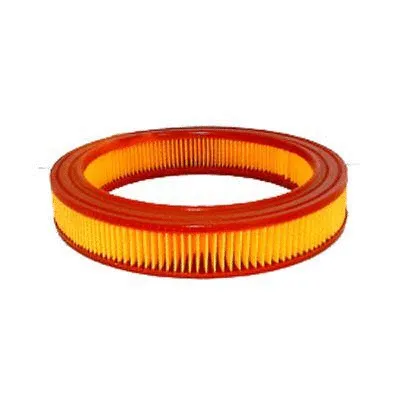 Air Filter (FA-1013)