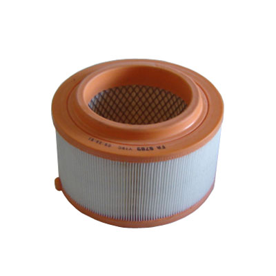 Air Filter (FA-8789)