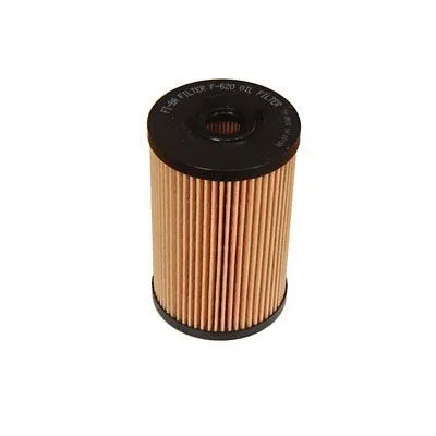 Oil Filter (F-620)