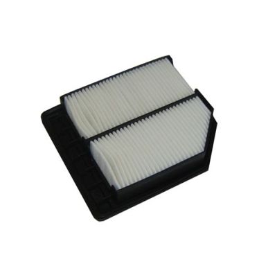Air Filter (FA-452)