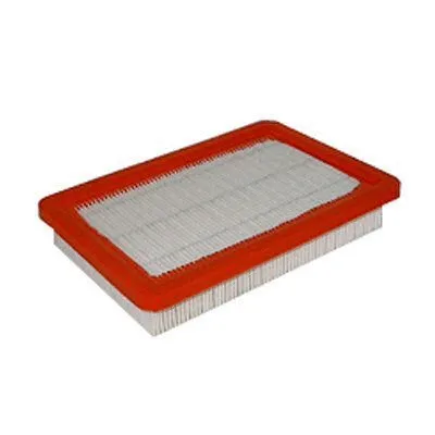 Air Filter (FA-376)