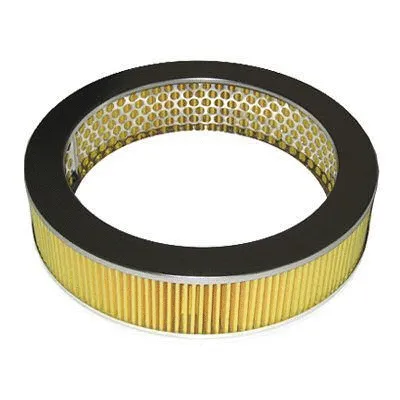 Air Filter (FA-231)