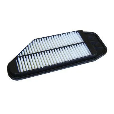 Air Filter (FA-461)
