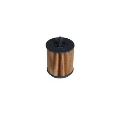 Oil Filter (F-809)