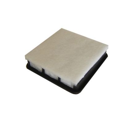 Air Filter (FA-316)