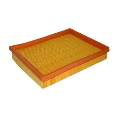 Air Filter (FA-22560)