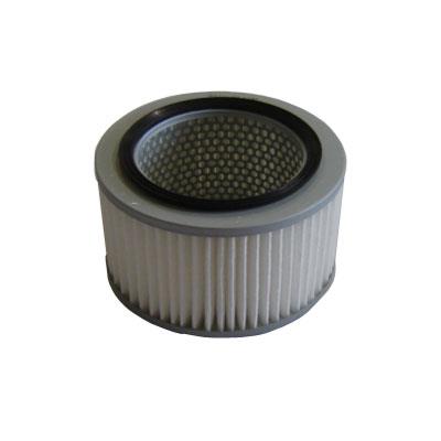 Air Filter (FA-495)
