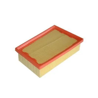 Air Filter (FA-253)