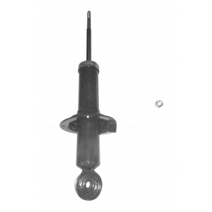 Shock Absorber (FSA250)