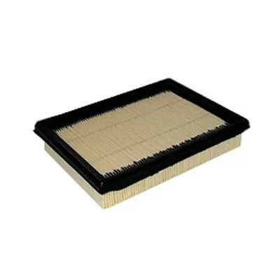 Air Filter (FA-270)